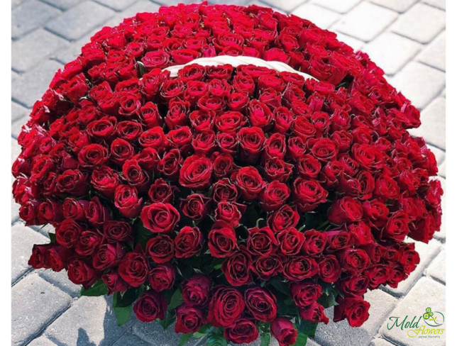 Basket with 501 red roses (custom order, 5 days) photo
